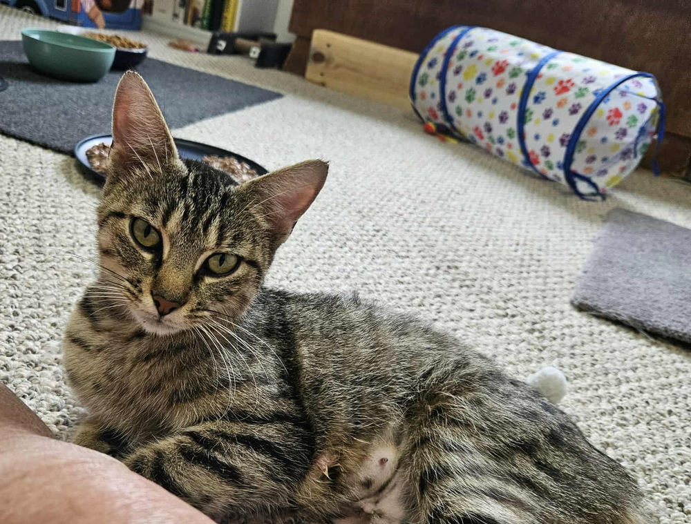 Abby