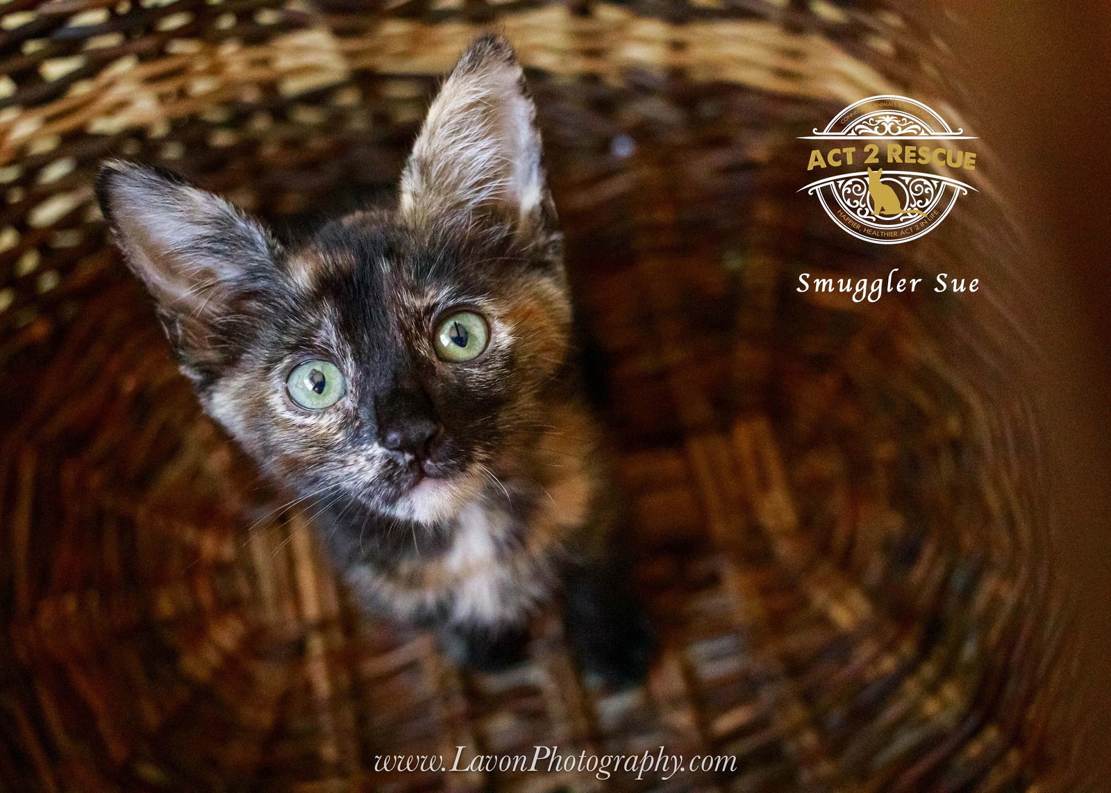 Smuggler Sue