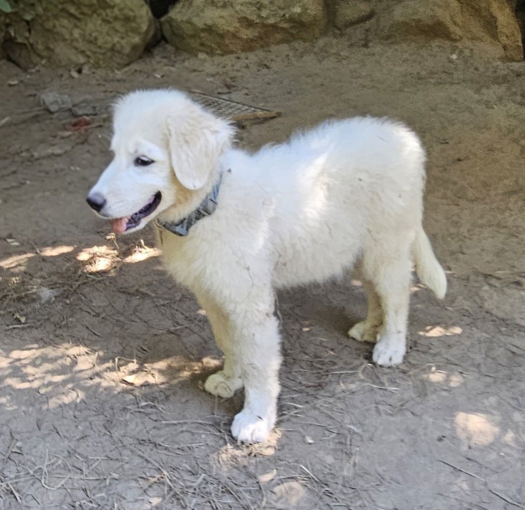 Max (2) in VT