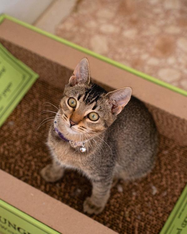 Marlowe