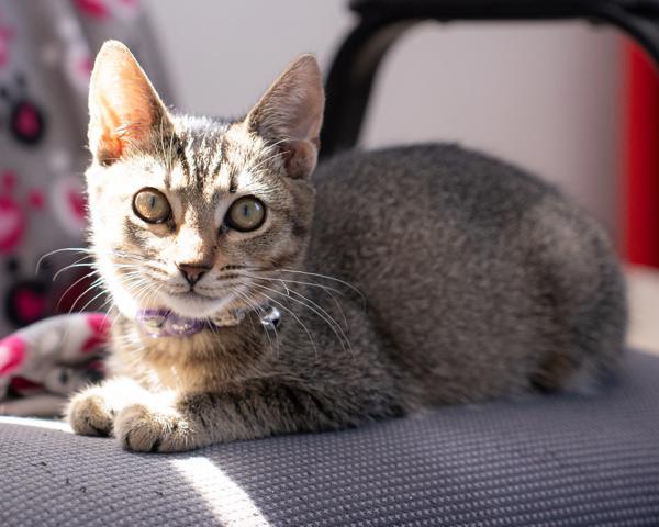 Marlowe