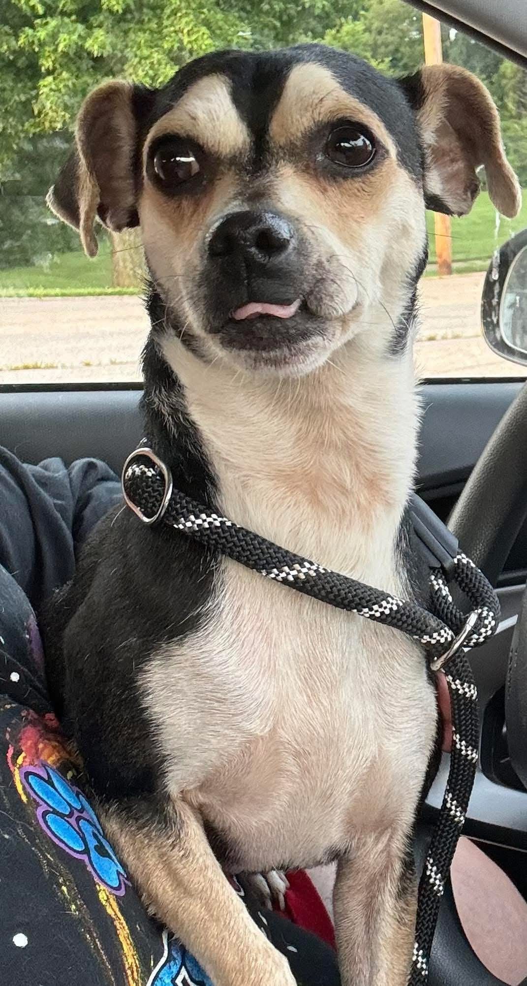 Franklin