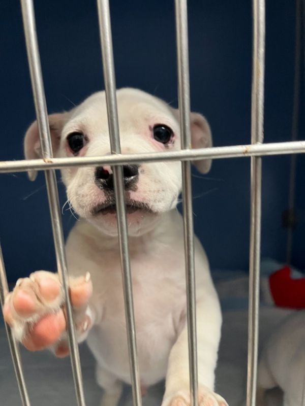 Kevin Jonas thumbnail 2