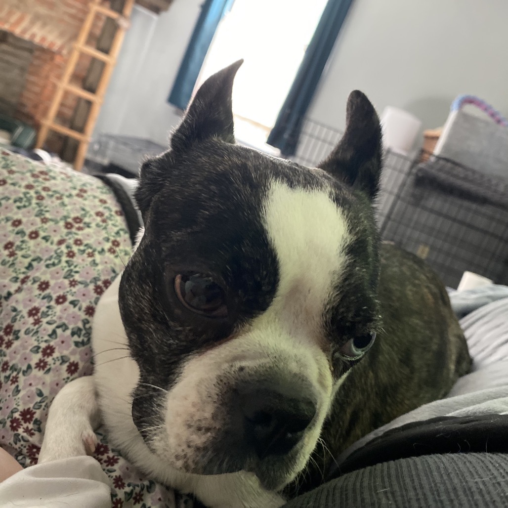 Gia
