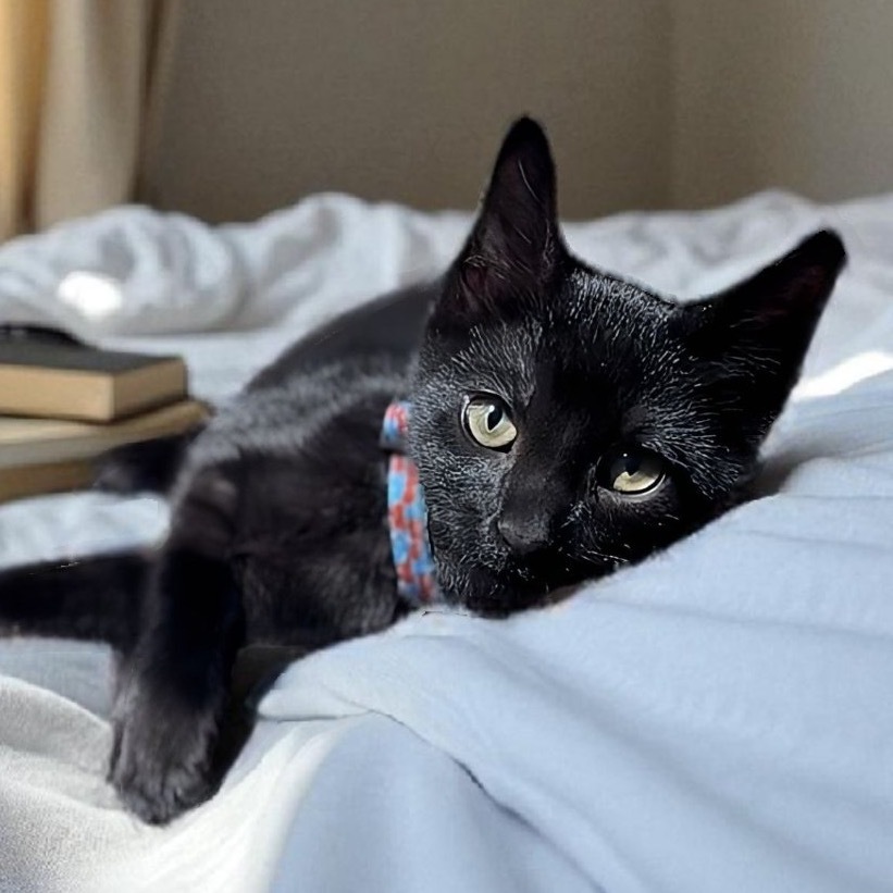 Jasper