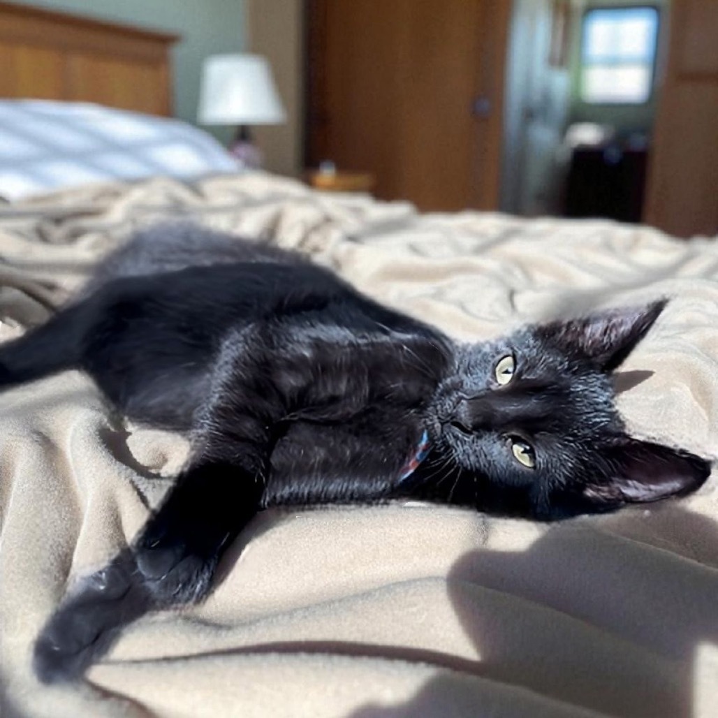 Jasper