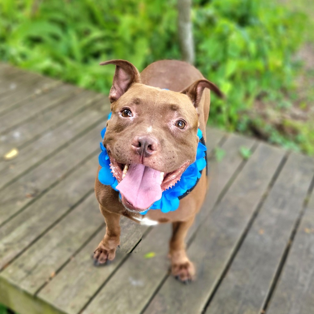 Sampson