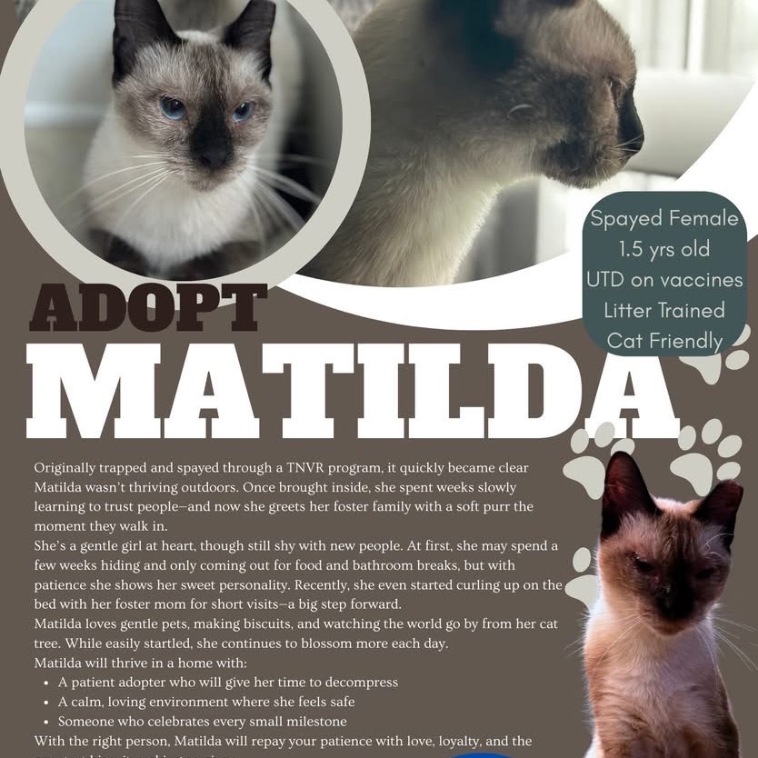 Matilda