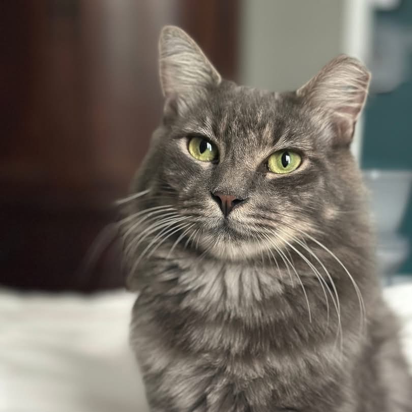 Milton