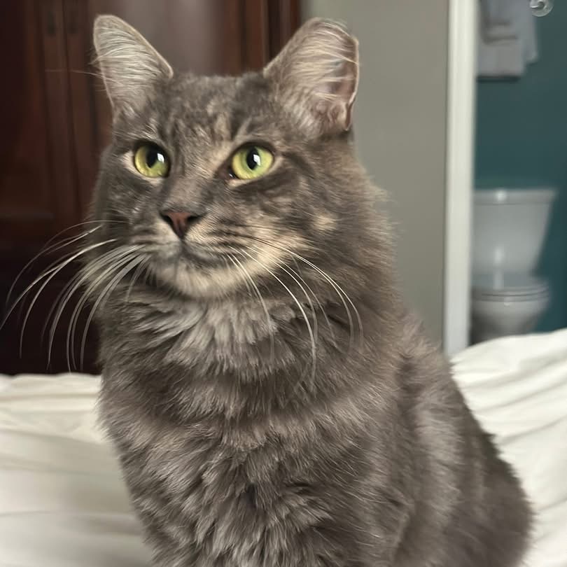 Milton