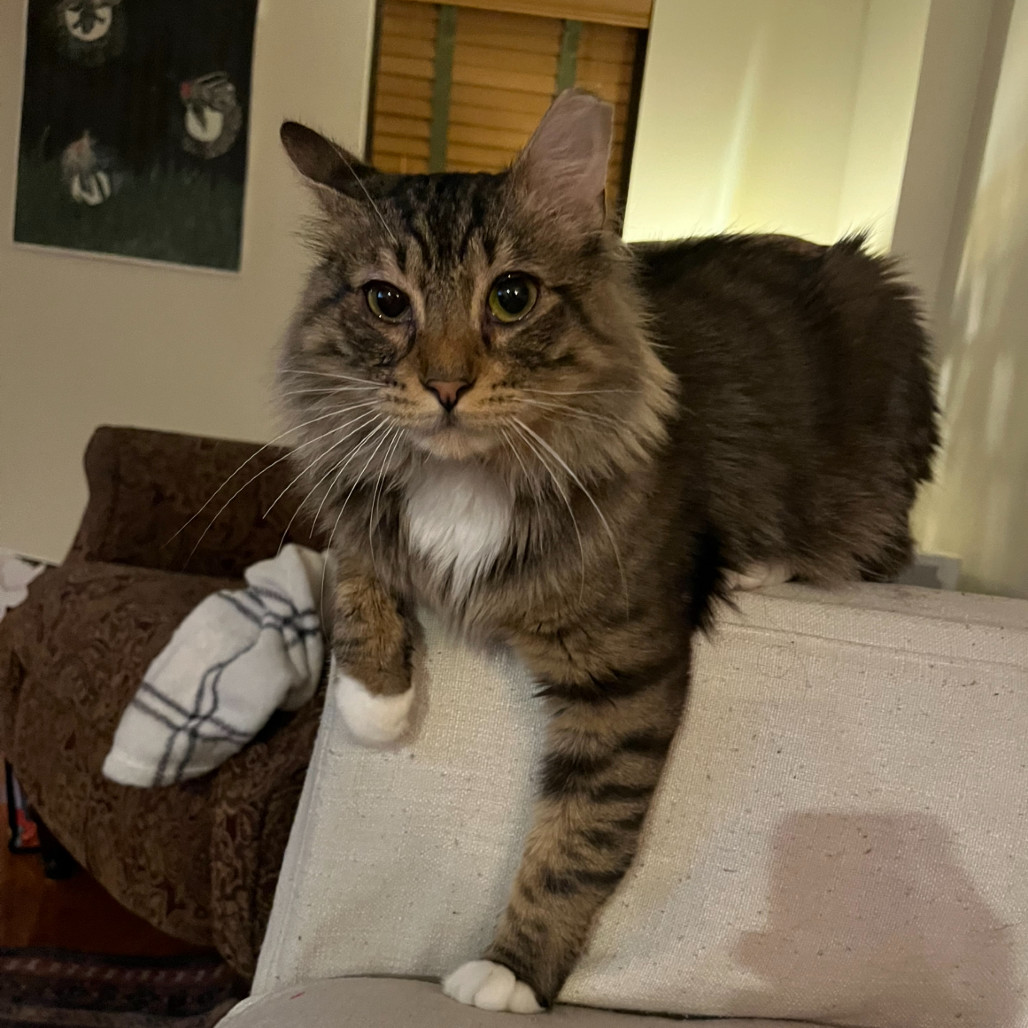 Milo