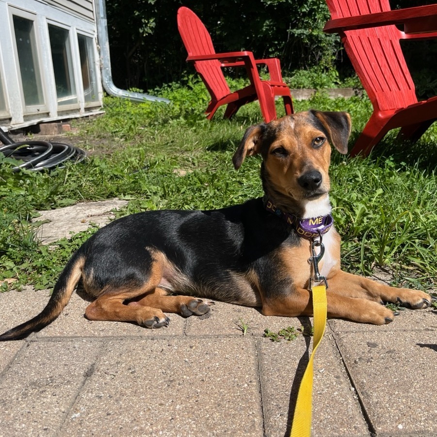 Sophia