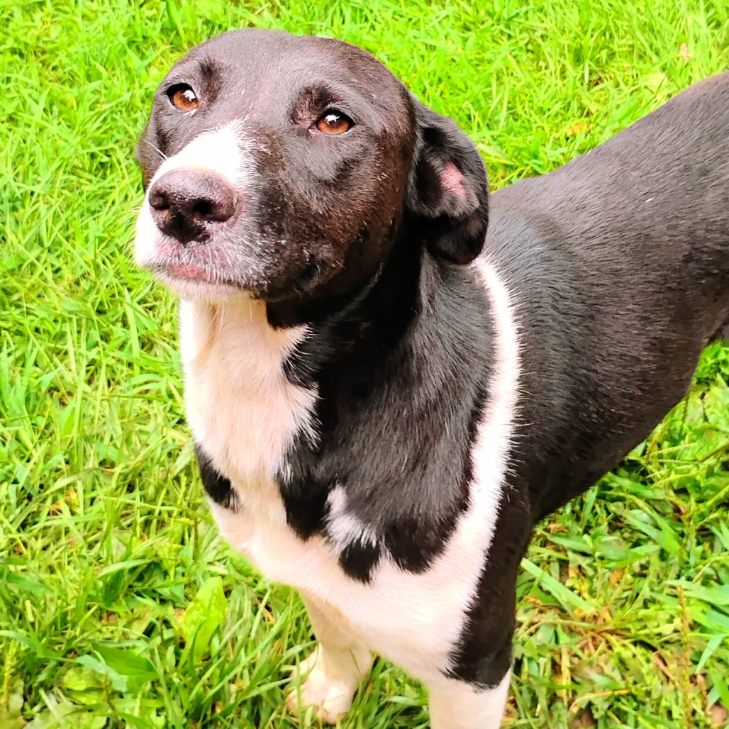 Sophie