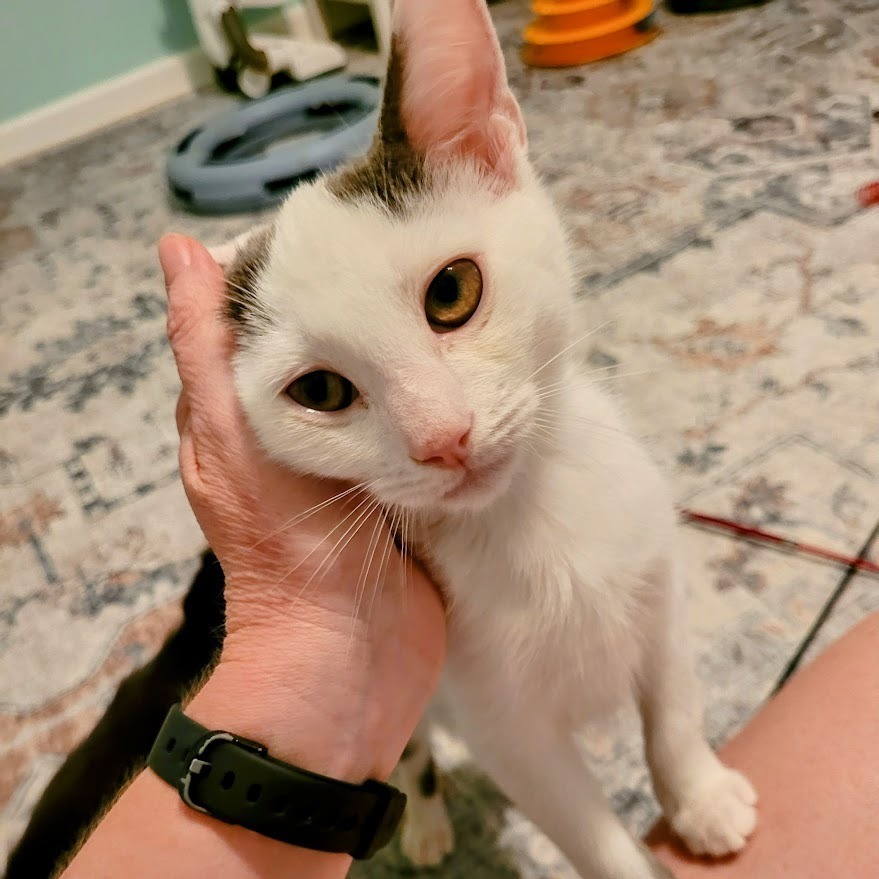 Mello