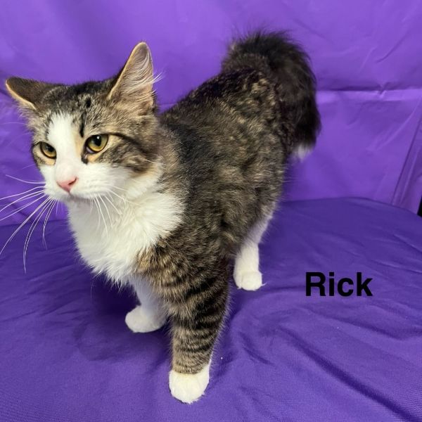 Rick