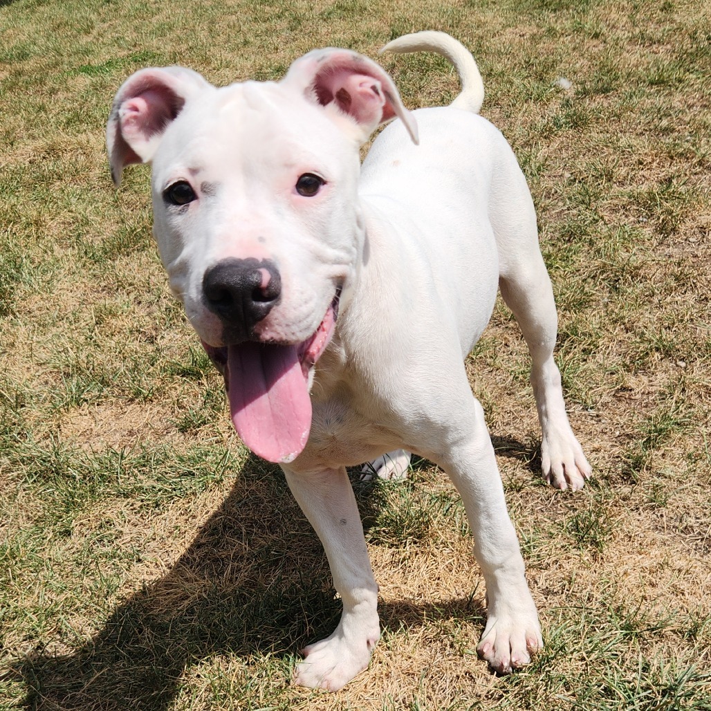 Kiko