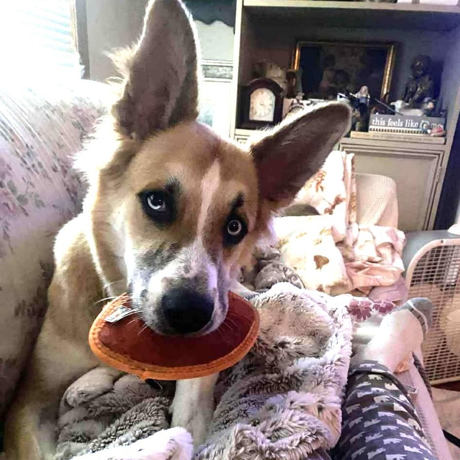 Cubbie