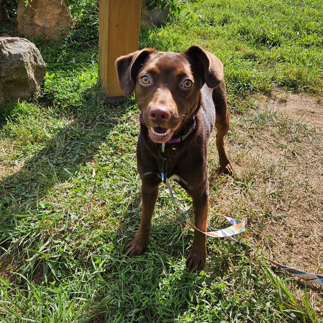 Hera