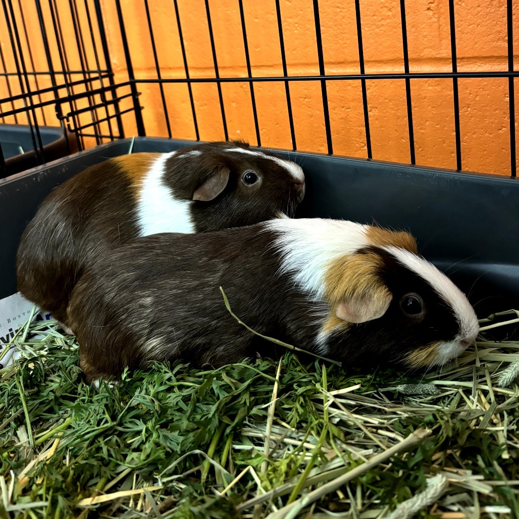 Winnie