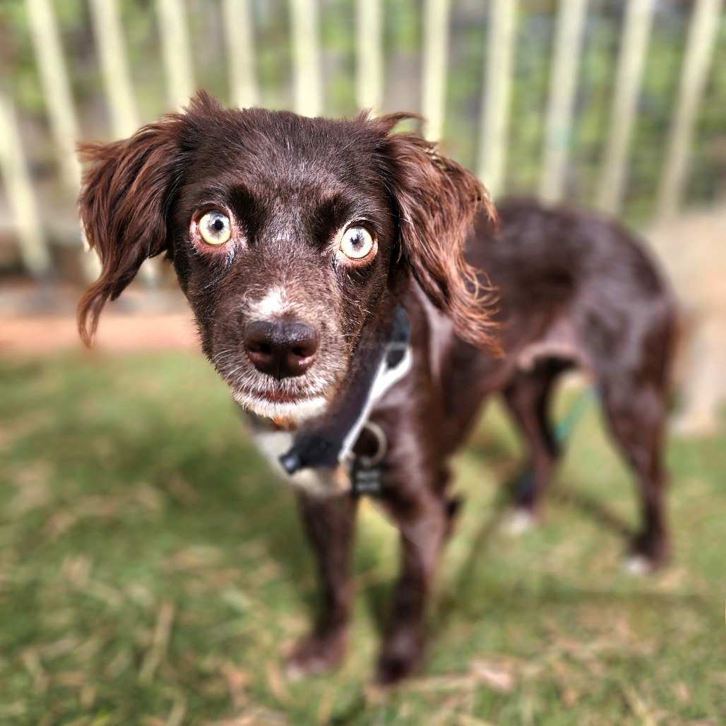Jules(14)- Chino Hills Location