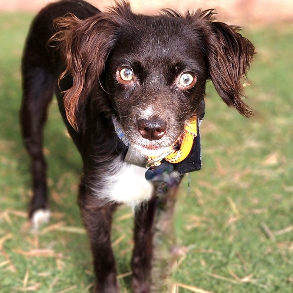 Jules(14)- Chino Hills Location