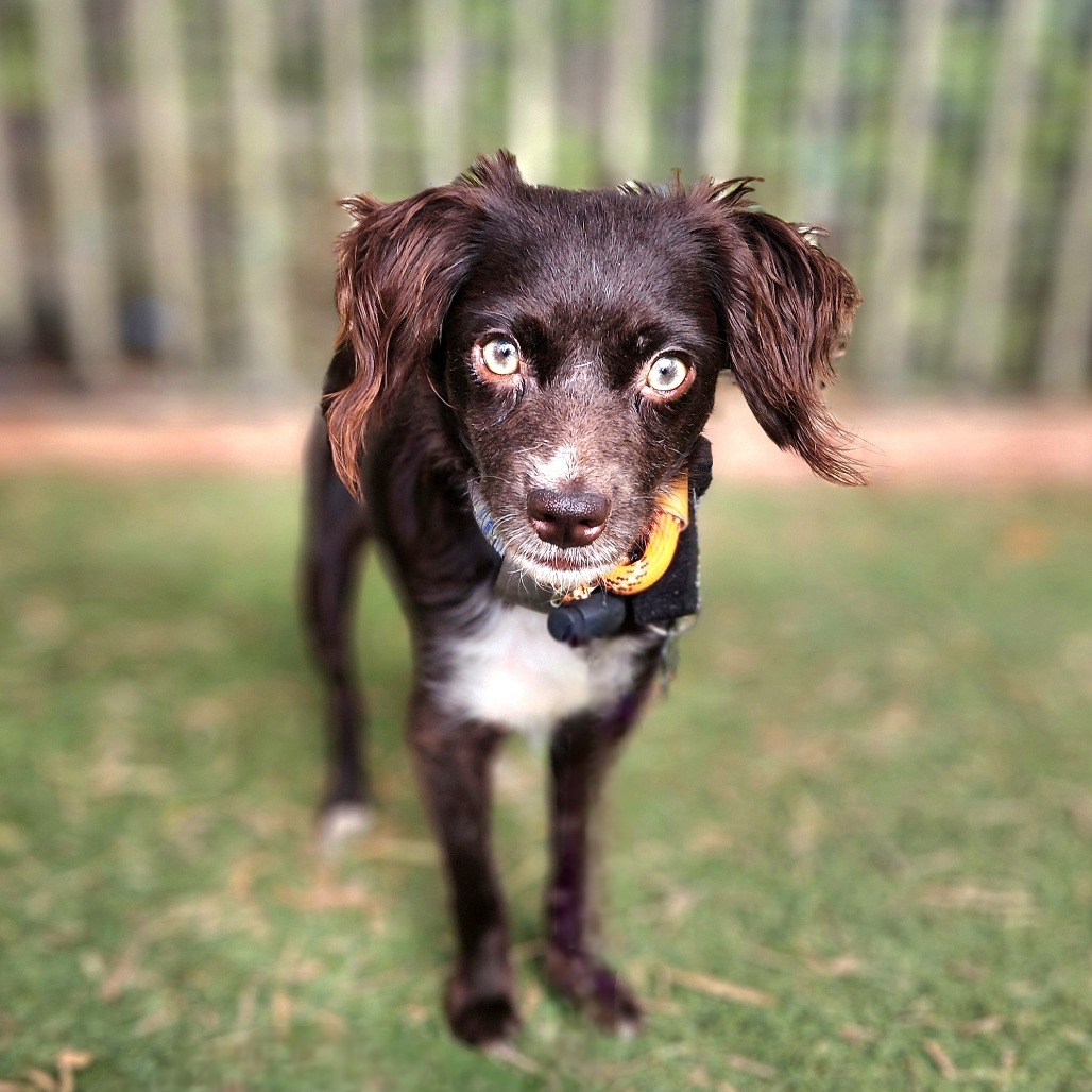 Jules(14)- Chino Hills Location