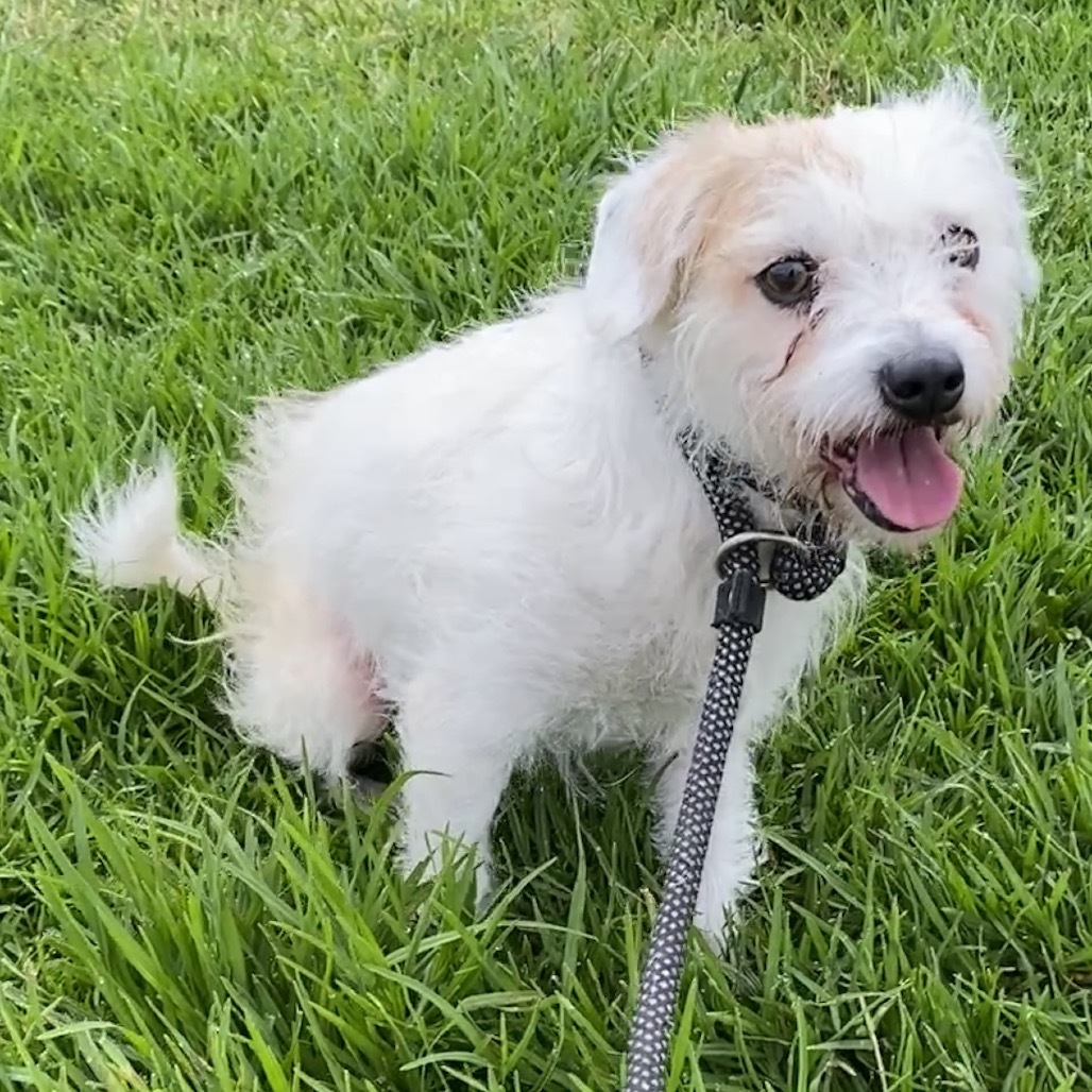 Reilly (17) - Costa Mesa Location