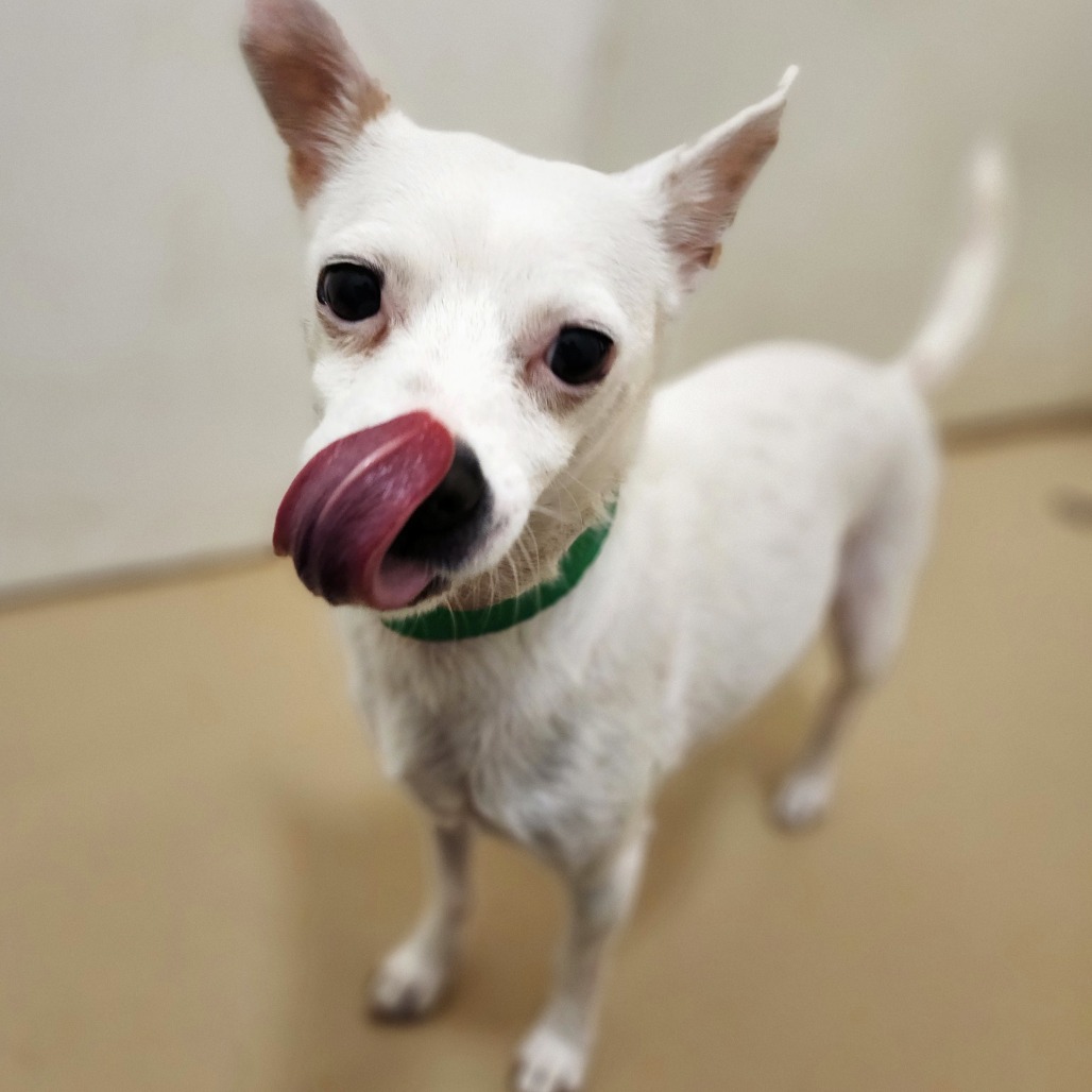 Dorian C000-484- Chino Hills Location