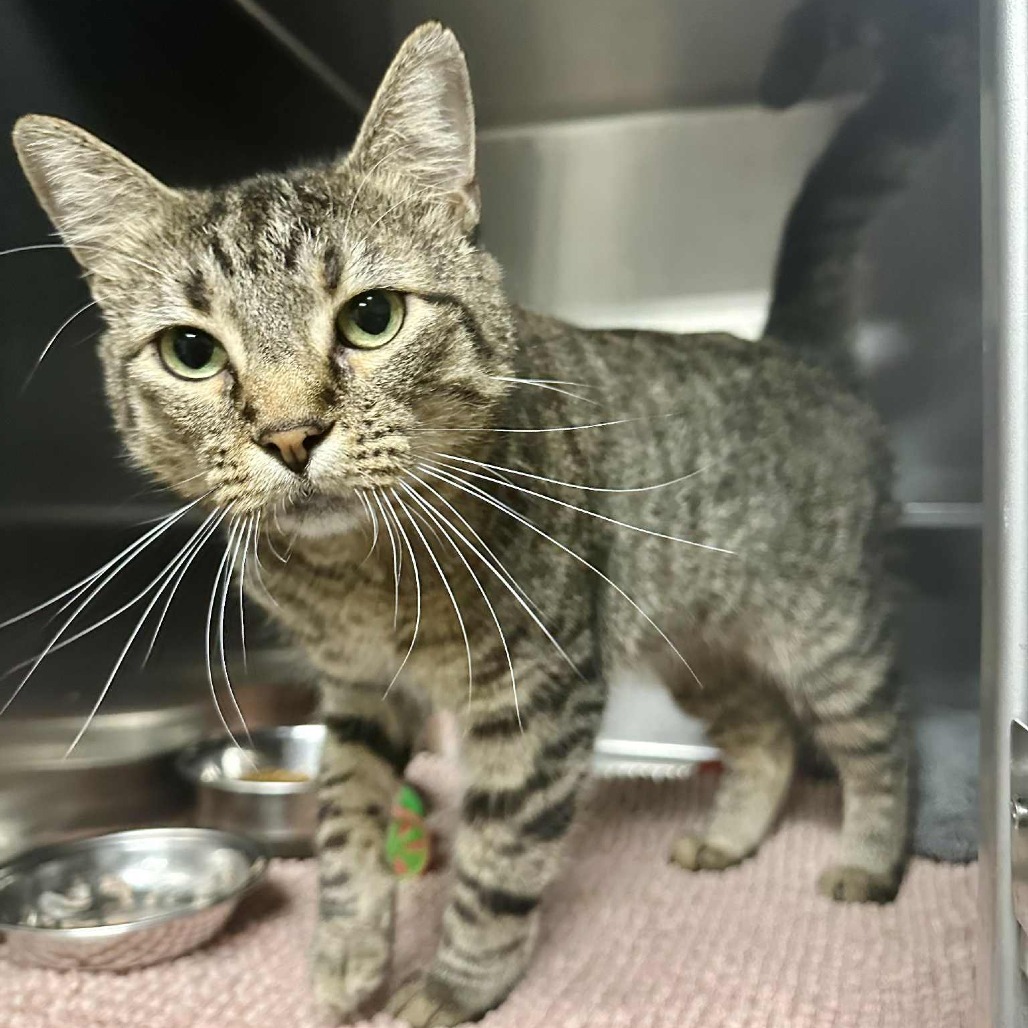 Regina -Washington PetSmart