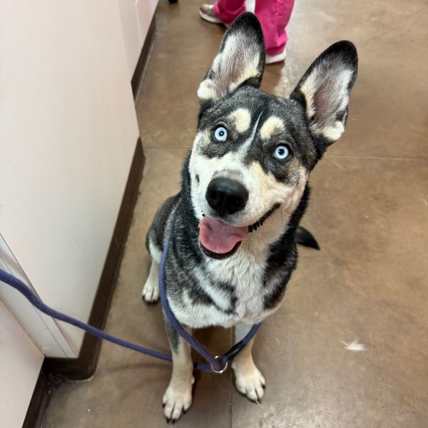 Indie - Pretty Eyes to Get Lost in!