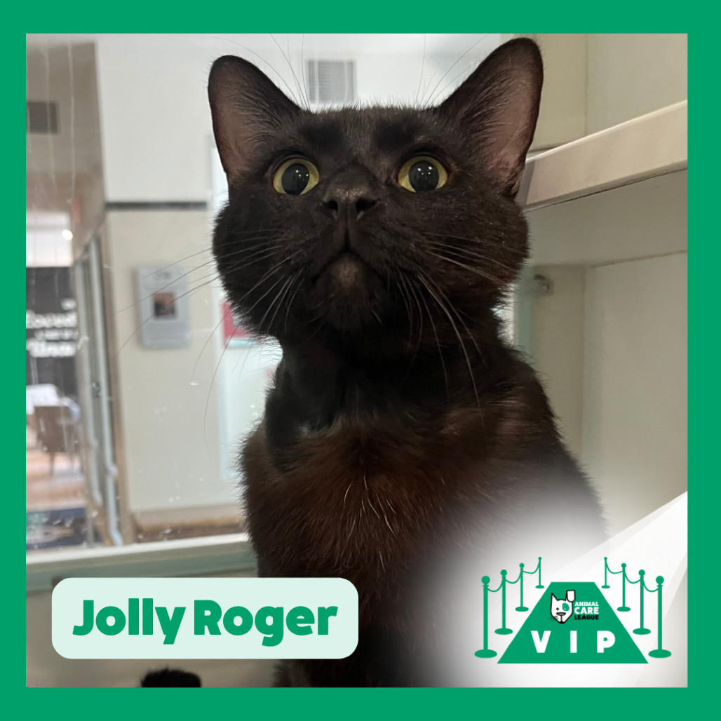 Jolly Roger