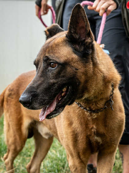 Tiago - Located in Florida