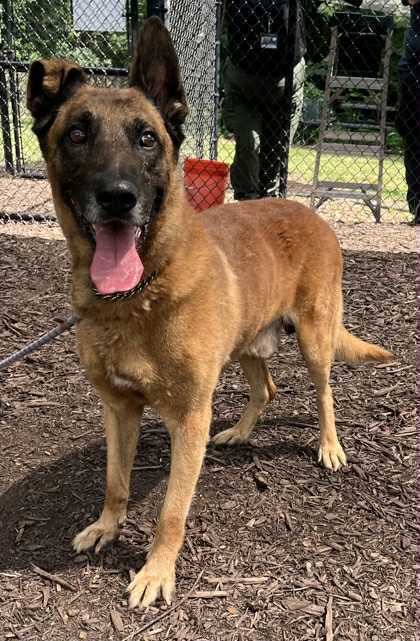 Tiago - Located in Florida