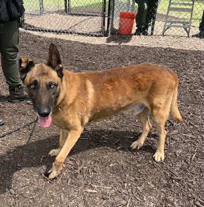Tiago - Located in Florida
