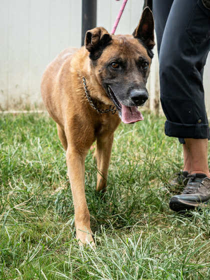 Tiago - Located in Florida