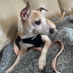 Sid