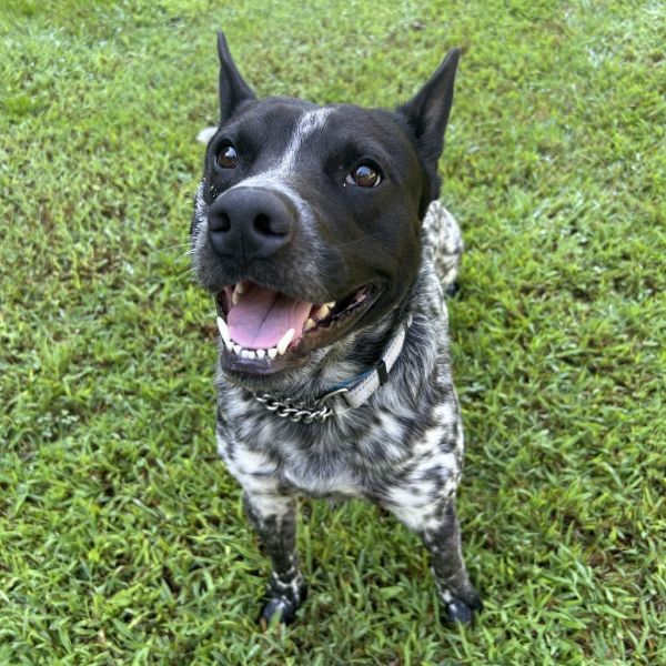 Edgar