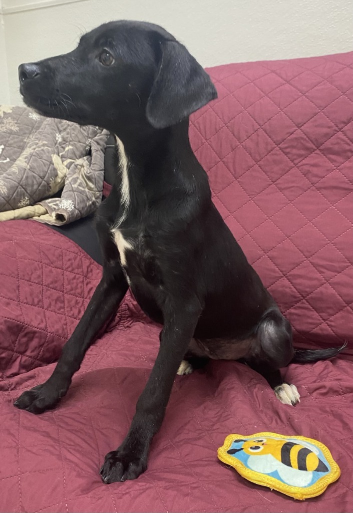 Mika