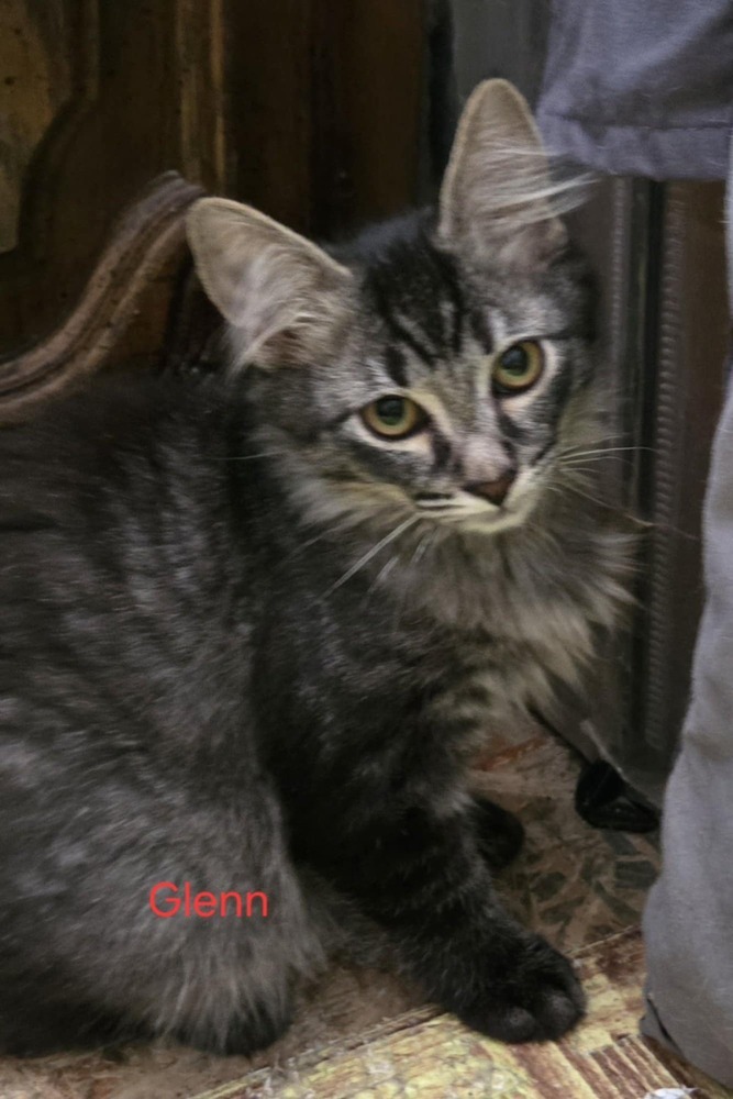 Glen