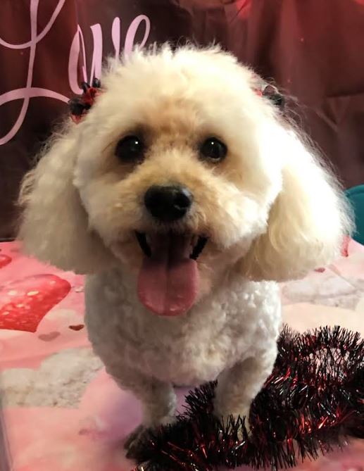 Rudy (Courtesy Listing)