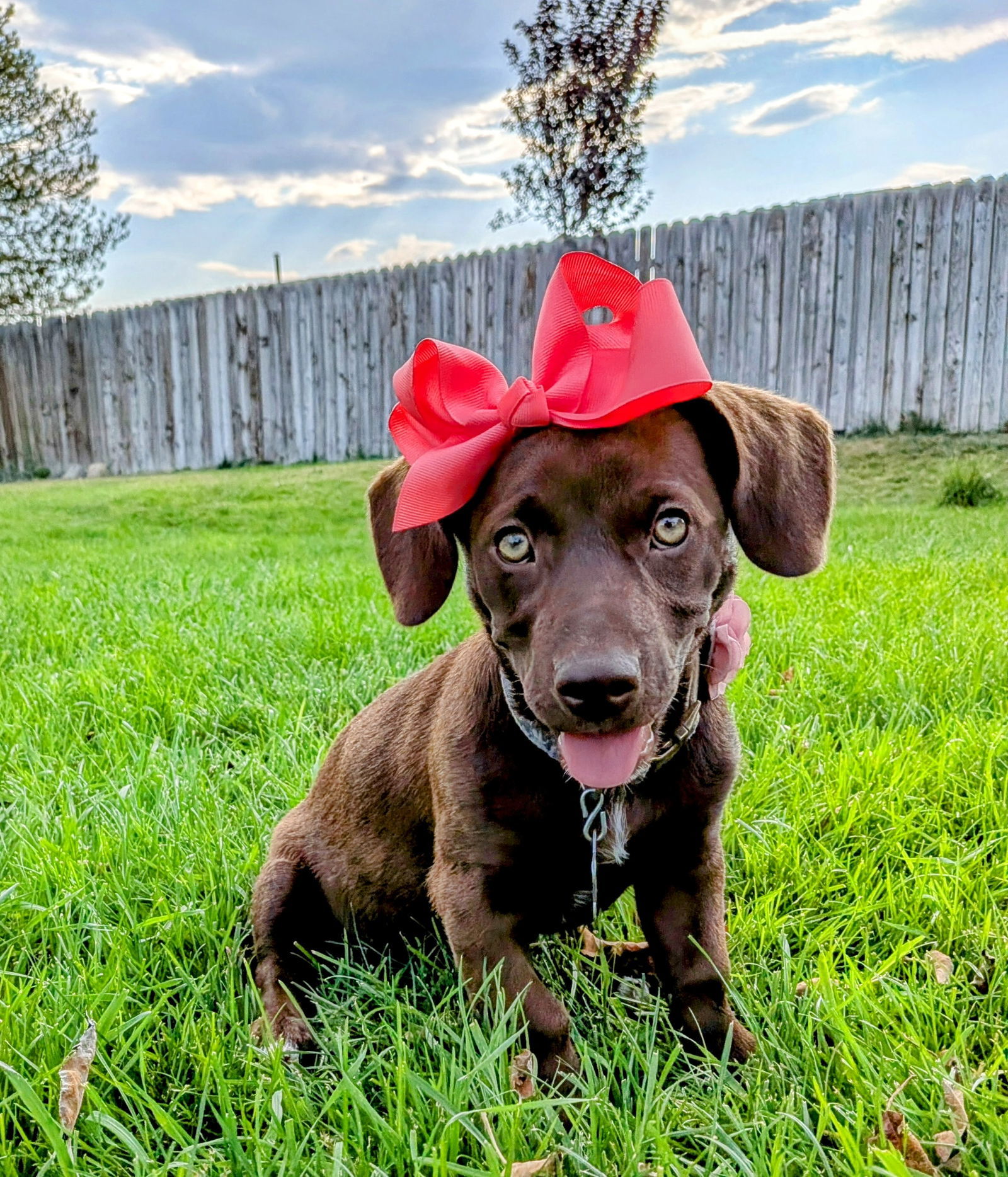 Ava Claire