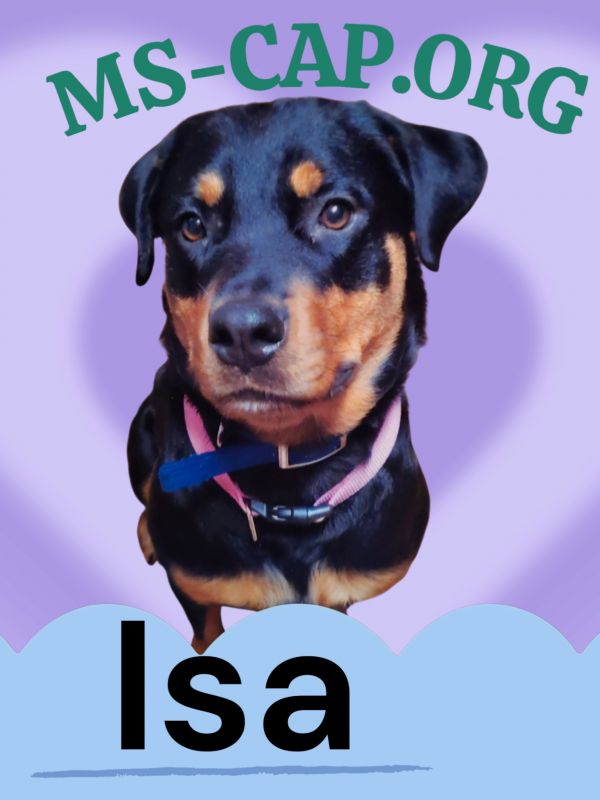 Isa