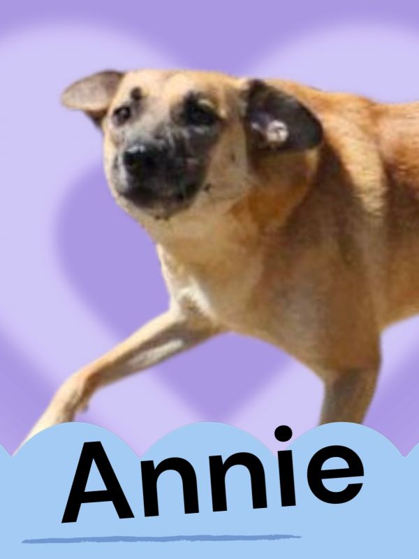 Annie