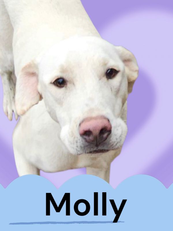 Molly