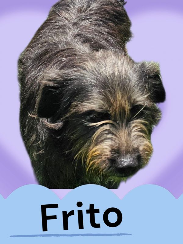 Frito