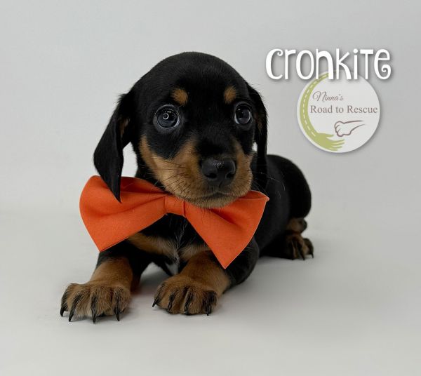 Cronkite