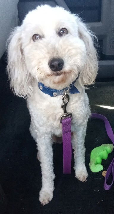 Charlie