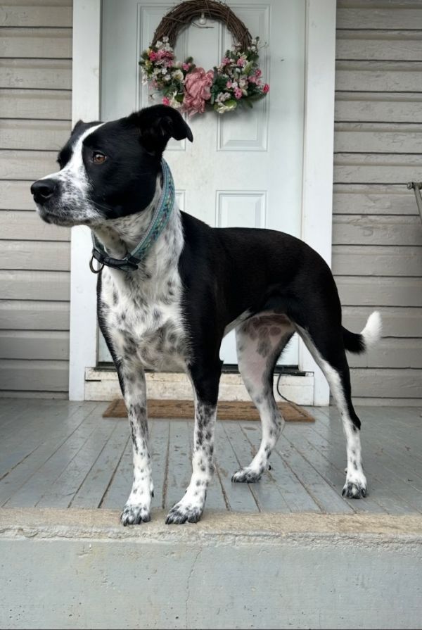 Lily Mae