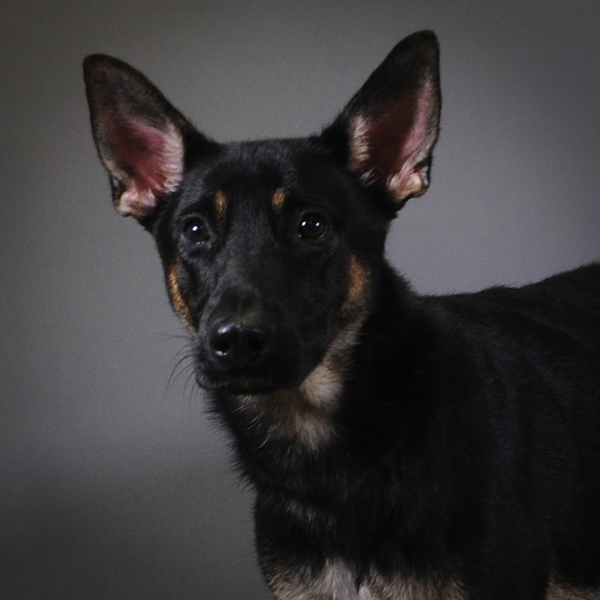 Luis