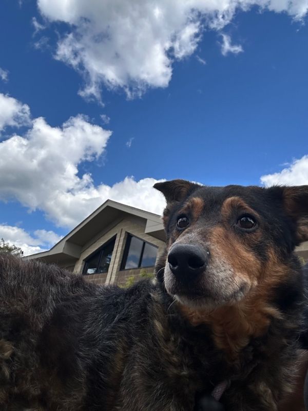 BOONE